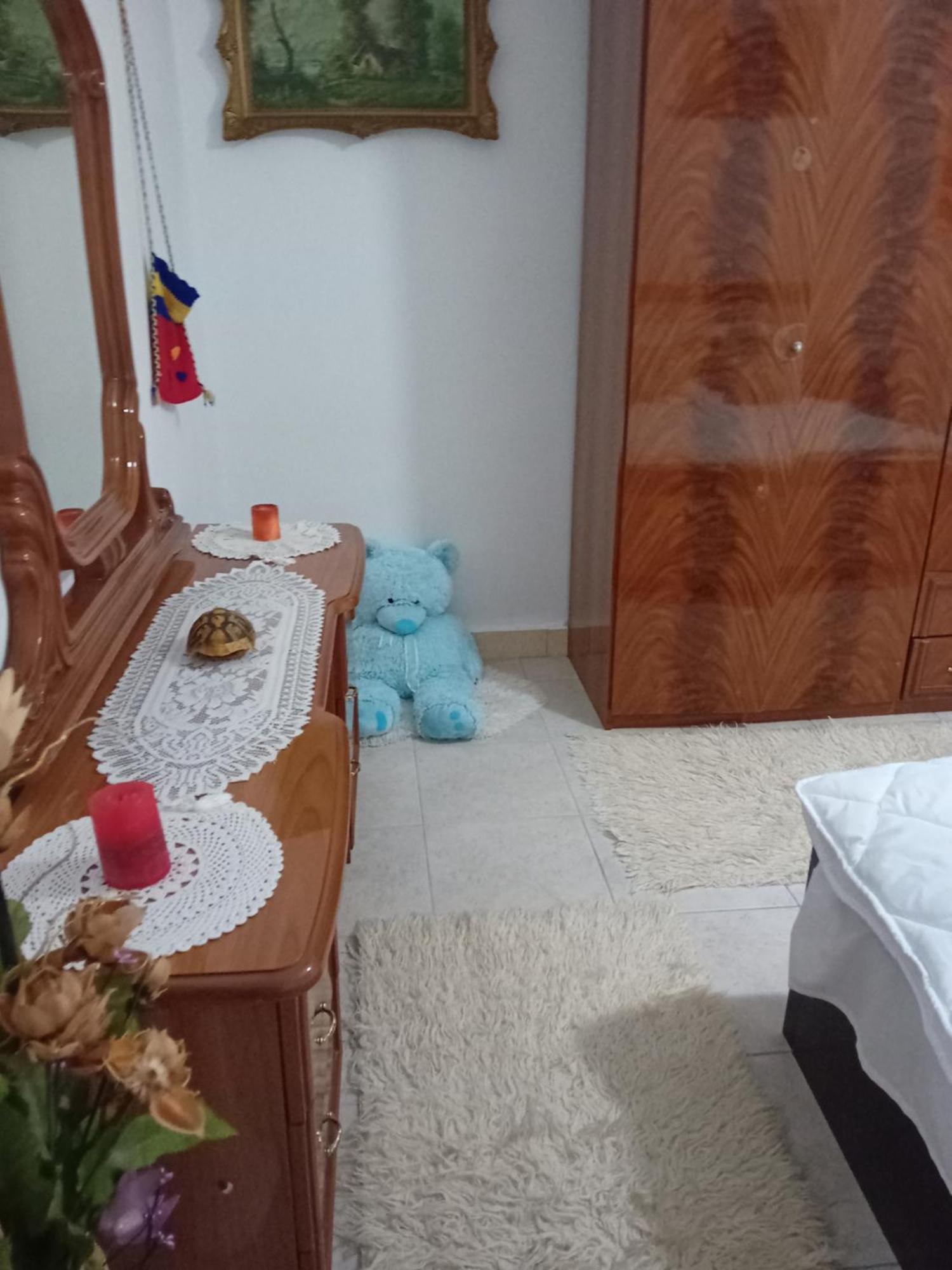 Olivia Guesthouse Gjirokastër Dış mekan fotoğraf
